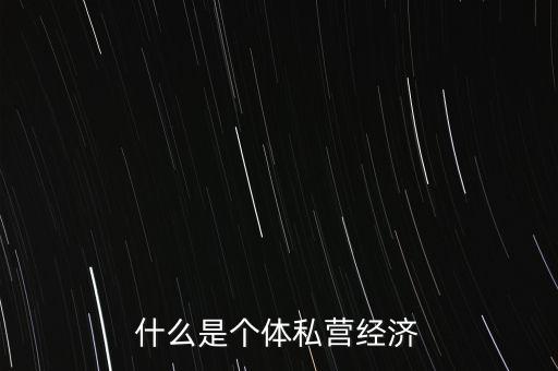 什么是個體私營經(jīng)濟