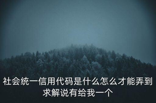 社會統(tǒng)一信用代碼是什么怎么才能弄到求解說有給我一個