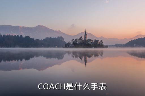 shuiwang是什么表，COACH是什么手表