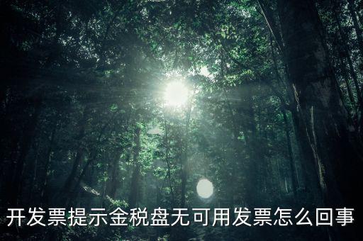 開發(fā)票提示金稅盤無可用發(fā)票怎么回事