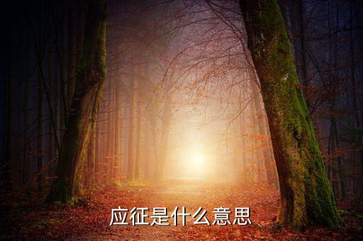 應(yīng)征發(fā)生日期什么意思，應(yīng)征的意思