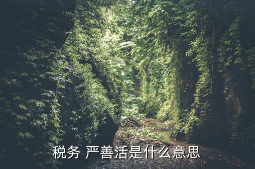 中國(guó)稅務(wù)精神是什么意思，稅務(wù)是什么意思啊學(xué)什么內(nèi)容