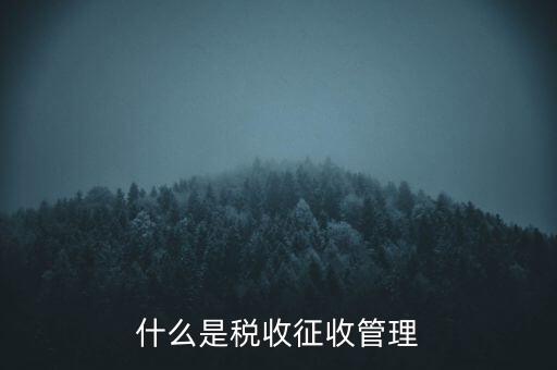 什么是稅收征收管理