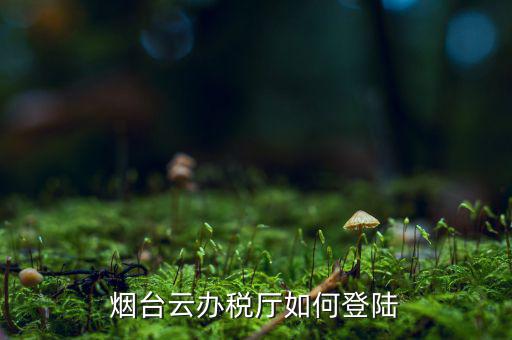 煙臺(tái)云辦稅廳如何登陸