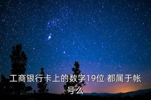 工商銀行卡上的數(shù)字19位 都屬于帳號么