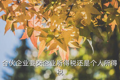 合伙企業(yè)交什么稅嗎，合伙企業(yè)要交企業(yè)所得稅嗎