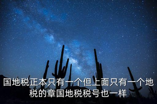 國地稅正本只有一個但上面只有一個地稅的章國地稅稅號也一樣