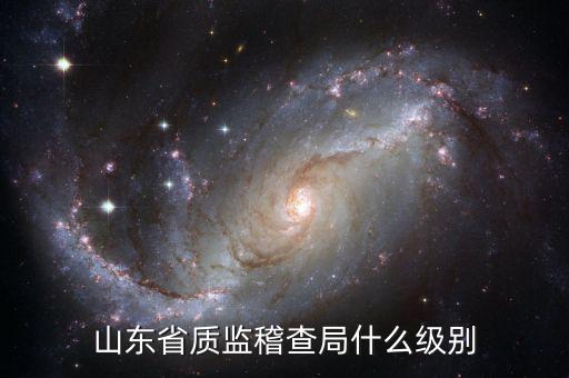 稽查局什么級(jí)別，山東省質(zhì)監(jiān)稽查局什么級(jí)別