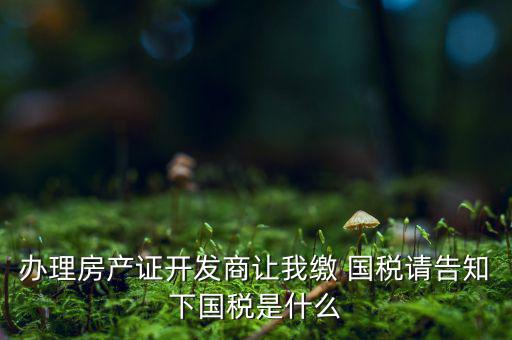 辦理房產(chǎn)證開發(fā)商讓我繳 國稅請告知下國稅是什么