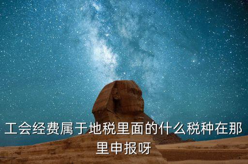 工會活動費中稅是什么，工會經(jīng)費屬于地稅里面的什么稅種在那里申報呀