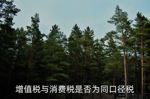 稅收可比口徑什么意思，稅收比重什么意思