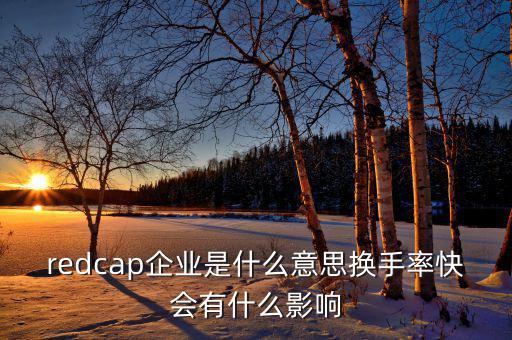 大企業(yè)局是什么意思，廣東省地稅網(wǎng)上的財(cái)務(wù)報(bào)表中的大企業(yè)局?jǐn)?shù)據(jù)報(bào)送是指什么