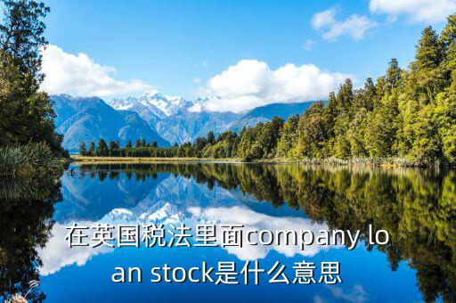 英國出國稅 是什么意思，在英國稅法里面company loan stock是什么意思