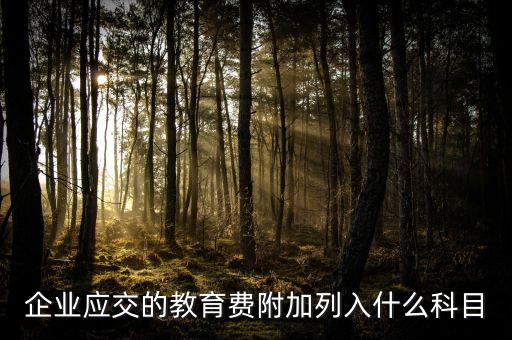 教育費(fèi)附加干什么，教育費(fèi)附加代表什么意思