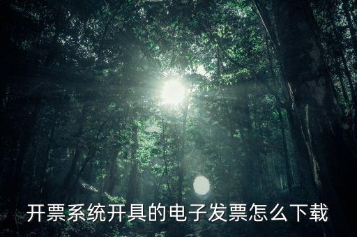 開(kāi)票系統(tǒng)開(kāi)具的電子發(fā)票怎么下載