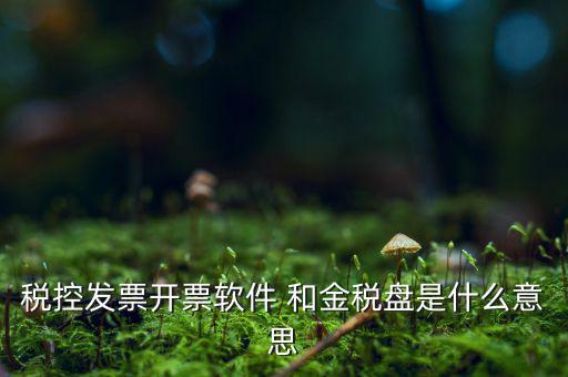 稅控系統(tǒng)指什么，稅控發(fā)票開票軟件 和金稅盤是什么意思