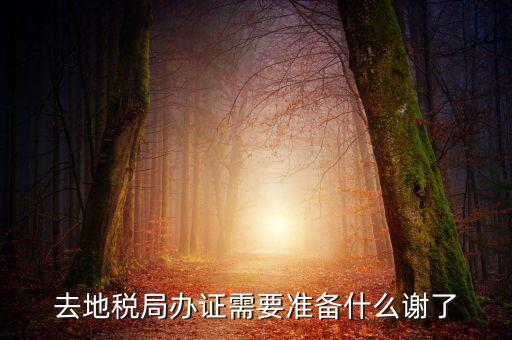 地稅局辦理什么，地稅局開發(fā)票需要辦什么手續(xù)