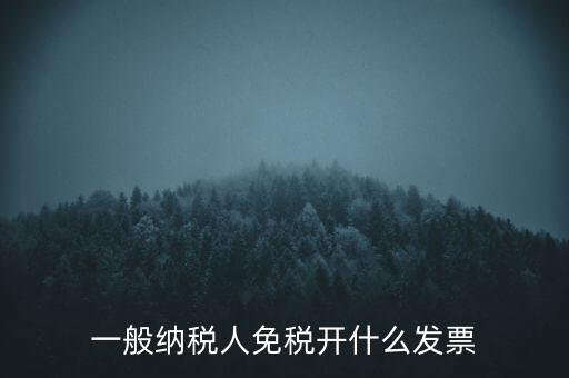 一般納稅人免稅開(kāi)什么發(fā)票