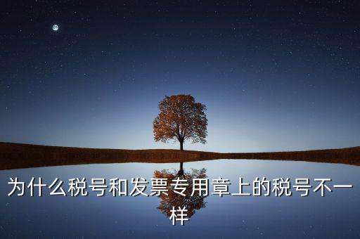 為什么稅號和發(fā)票專用章上的稅號不一樣