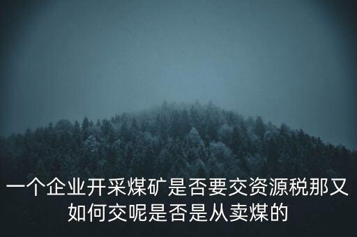 一個(gè)企業(yè)開采煤礦是否要交資源稅那又如何交呢是否是從賣煤的