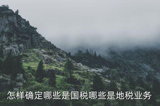 業(yè)務(wù)地稅是什么，地稅申報(bào)中業(yè)務(wù)種類是什么