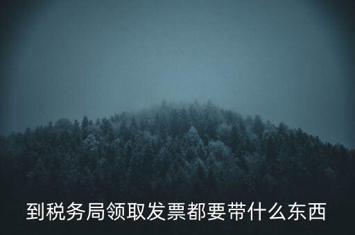 到稅務局領取發(fā)票都要帶什么東西