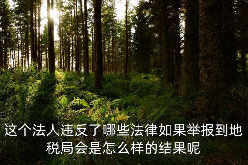 這個(gè)法人違反了哪些法律如果舉報(bào)到地稅局會是怎么樣的結(jié)果呢