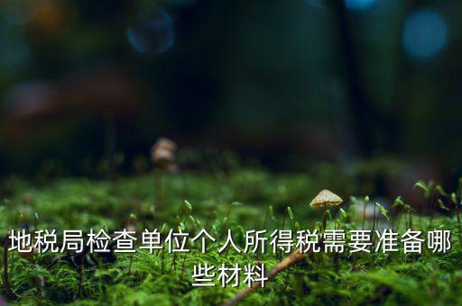 地稅局檢查單位個(gè)人所得稅需要準(zhǔn)備哪些材料