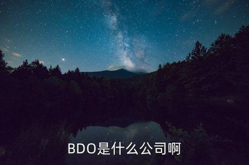 BDO是什么公司啊