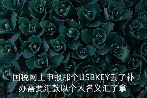 國稅網(wǎng)上申報那個USBKEY丟了補(bǔ)辦需要匯款以個人名義匯了拿