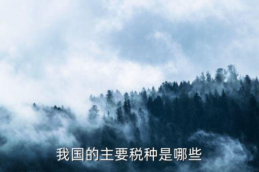 中國三大稅收是什么，中國境內(nèi)的稅收種類