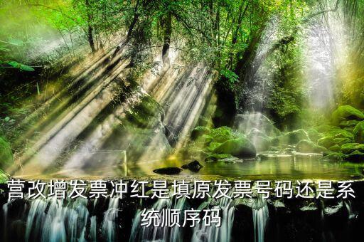 營改增發(fā)票沖紅是填原發(fā)票號碼還是系統(tǒng)順序碼