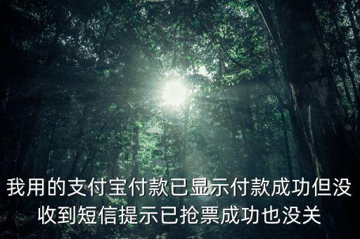 我用的支付寶付款已顯示付款成功但沒收到短信提示已搶票成功也沒關(guān)