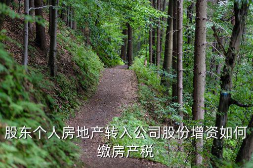 股東個人房地產(chǎn)轉入公司股份增資如何繳房產(chǎn)稅