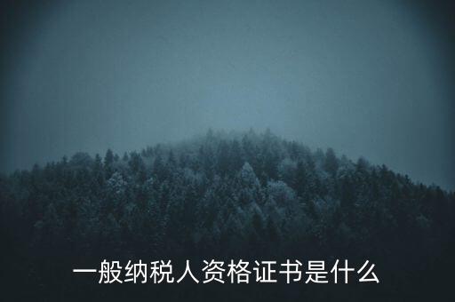 一般納稅人資格證書是什么