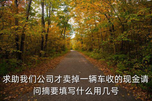 求助我們公司才賣掉一輛車收的現(xiàn)金請問摘要填寫什么用幾號