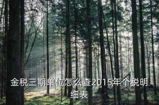 金稅三期單位怎么查2015年個稅明細(xì)表