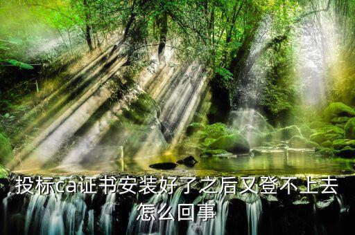 投標(biāo)ca證書(shū)安裝好了之后又登不上去怎么回事