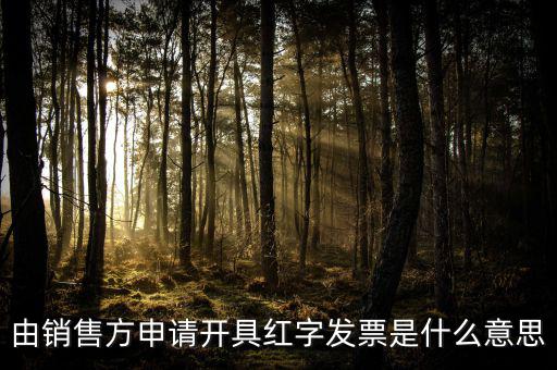 由銷售方申請開具紅字發(fā)票是什么意思