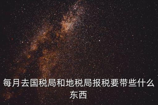 國稅大廳報(bào)稅需要什么，你好請(qǐng)教你一下如果我去國稅大廳報(bào)稅的話都需要帶什么東西填