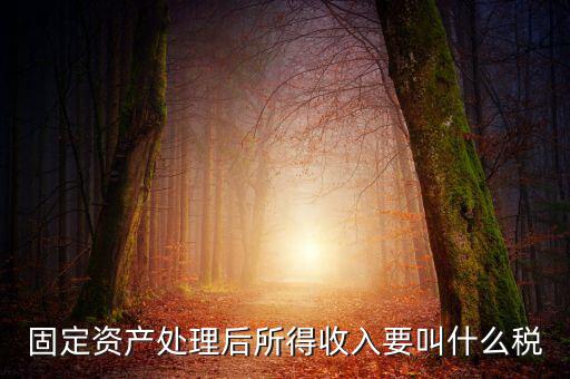 什么叫做試點(diǎn)納稅人，固定資產(chǎn)處理后所得收入要叫什么稅