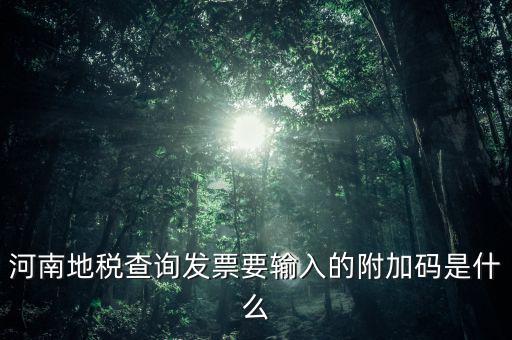 河南發(fā)票密碼是什么樣的，河南地稅查詢發(fā)票要輸入的附加碼是什么