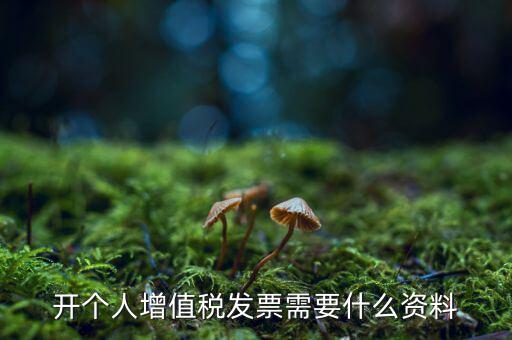 開個(gè)人增值稅發(fā)票需要什么資料