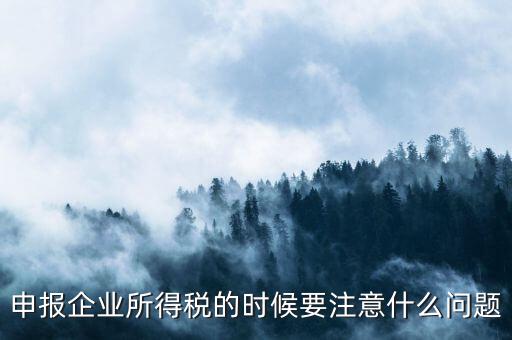 年度企業(yè)所得稅申報注意什么，申報企業(yè)所得稅的時候要注意什么問題