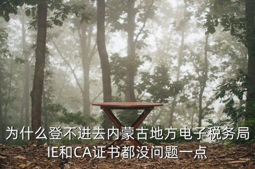 為什么登不進(jìn)去內(nèi)蒙古地方電子稅務(wù)局IE和CA證書都沒(méi)問(wèn)題一點(diǎn)