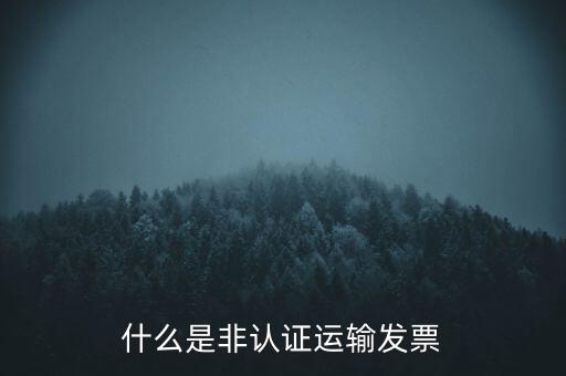 運輸票是什么，運輸發(fā)票是普通發(fā)票嗎