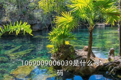 10699999是什么號(hào)碼，1069009006039是什么號(hào)碼