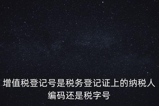 一般納稅人登記編號(hào)是什么，納稅人編號(hào)是什么