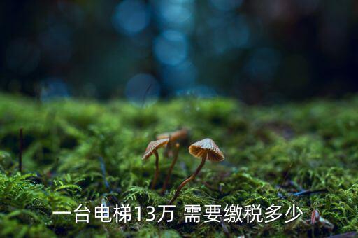 一臺電梯13萬 需要繳稅多少