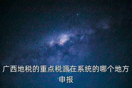 廣西地稅的重點(diǎn)稅源在系統(tǒng)的哪個地方申報(bào)